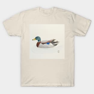 Mallard duck drake T-Shirt